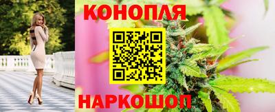 хмурый Сланцы