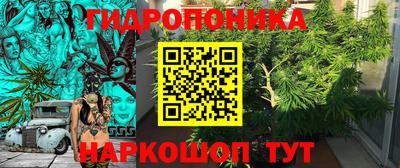 трава Северобайкальск