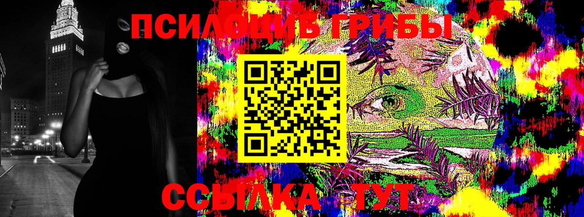 Псилоцибиновые грибы Psilocybine cubensis Рассказово