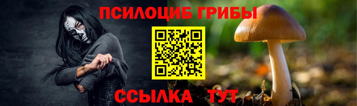 Псилоцибиновые грибы Cubensis  Псилоцибиновые грибы MAGIC MUSHROOMS  Вход с VPN  Рассказово 